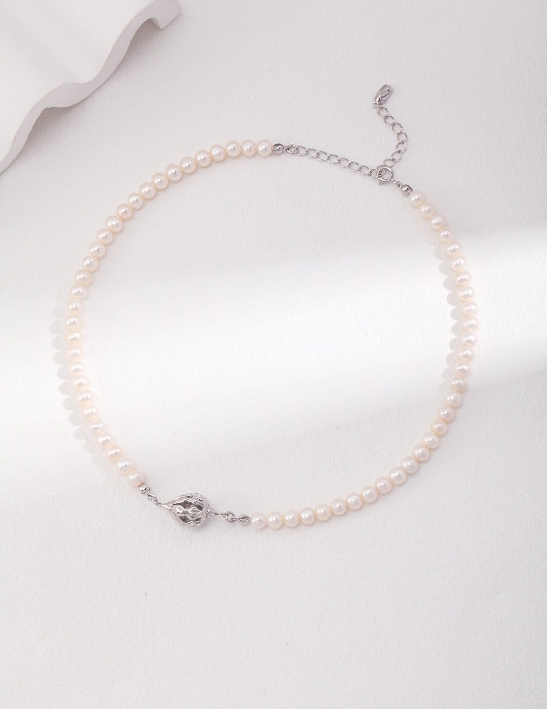 Wild Bloom Collection